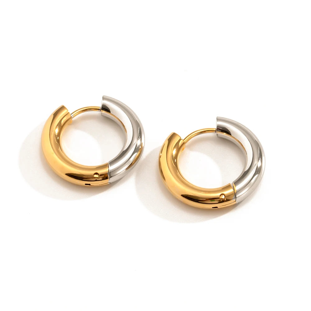 Luna Earrings Classic 4mm Hoops